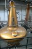 PICTURES/Dublin - Teeling Whiskey Distillery/t_Stills - Natalie.JPG